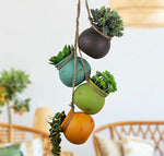 Hanging Succulent Planters | Multicolor Ceiling Wall Air Flower Pots for Plants | Indoor Outdoor