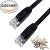 Hping-Tec Cat6 Flat Ethernet Patch Cable, 100-Feet - Black