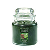 Yankee Candle Large Jar Candle, Balsam & Cedar